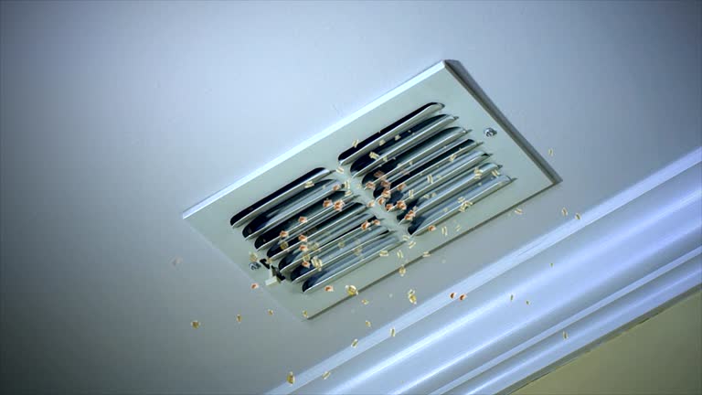 Best Air Vent Cleaning Services  in Old Brookville, NY